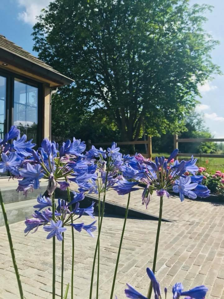 B&B De Windheer Sint-Martens-Lennik Dış mekan fotoğraf